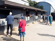 PN030422-197 - Paul Nicholls Stable Visit